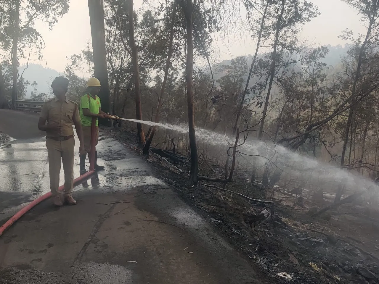     Fire in Kodaikanal Forest; Struggle to turn off for 9 days!